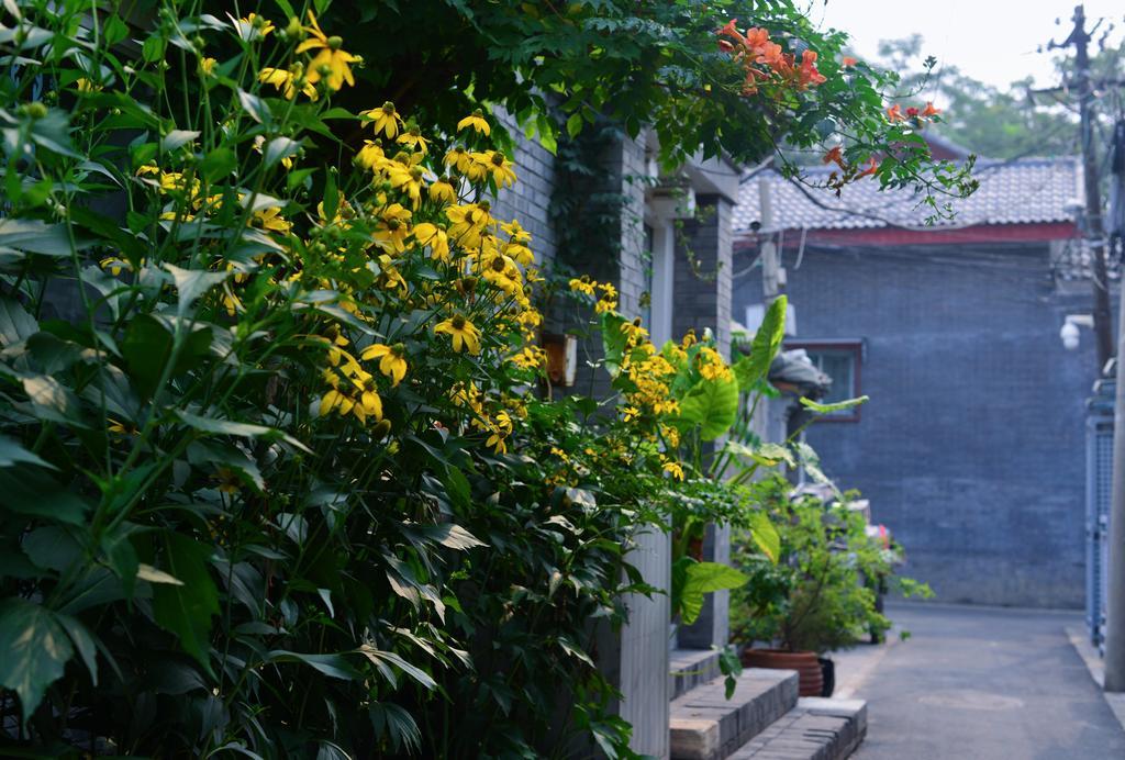 Peking Garden Boutique Hotel Pequim Exterior foto