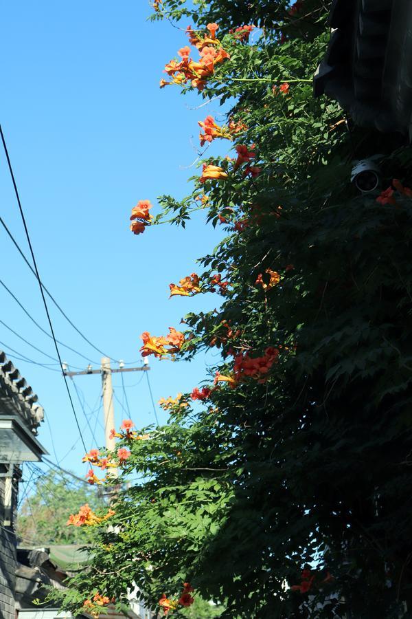 Peking Garden Boutique Hotel Pequim Exterior foto